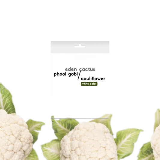 cauliflower | phool gobi seeds